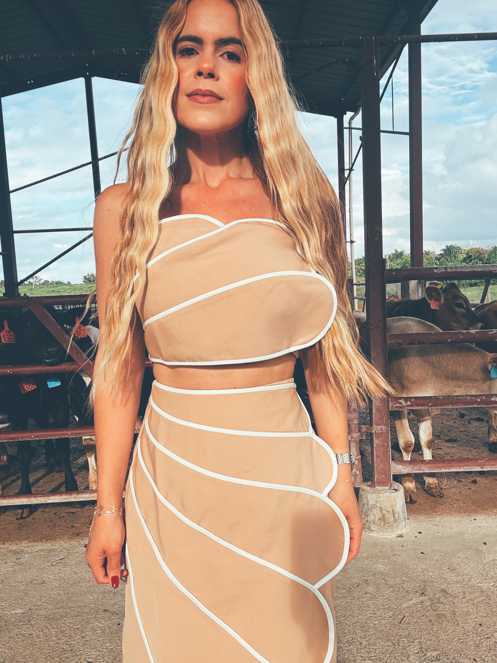 Wild Coast Set