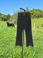 Alessandra Crystal Fringe Pant