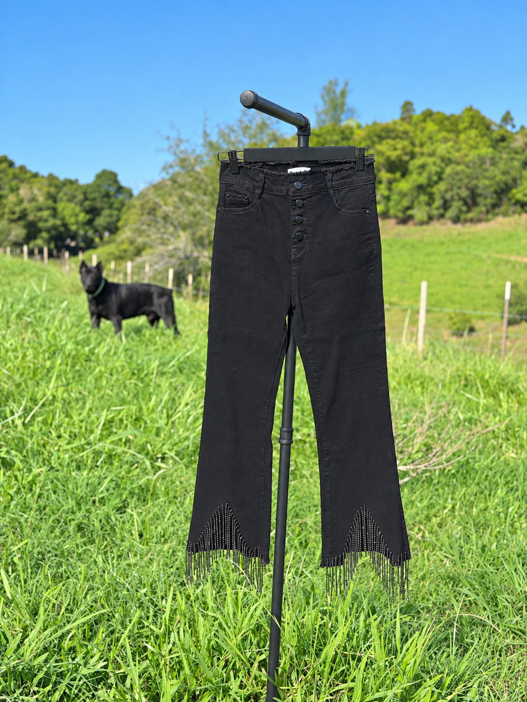 Alessandra Crystal Fringe Pant
