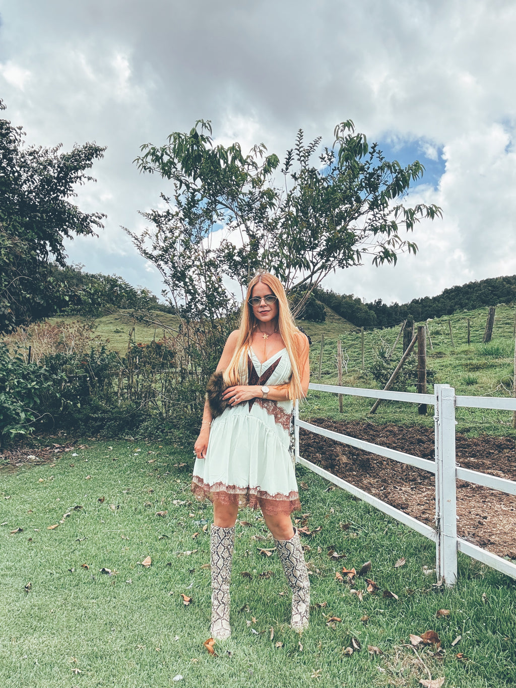 Daniella Lace Dress