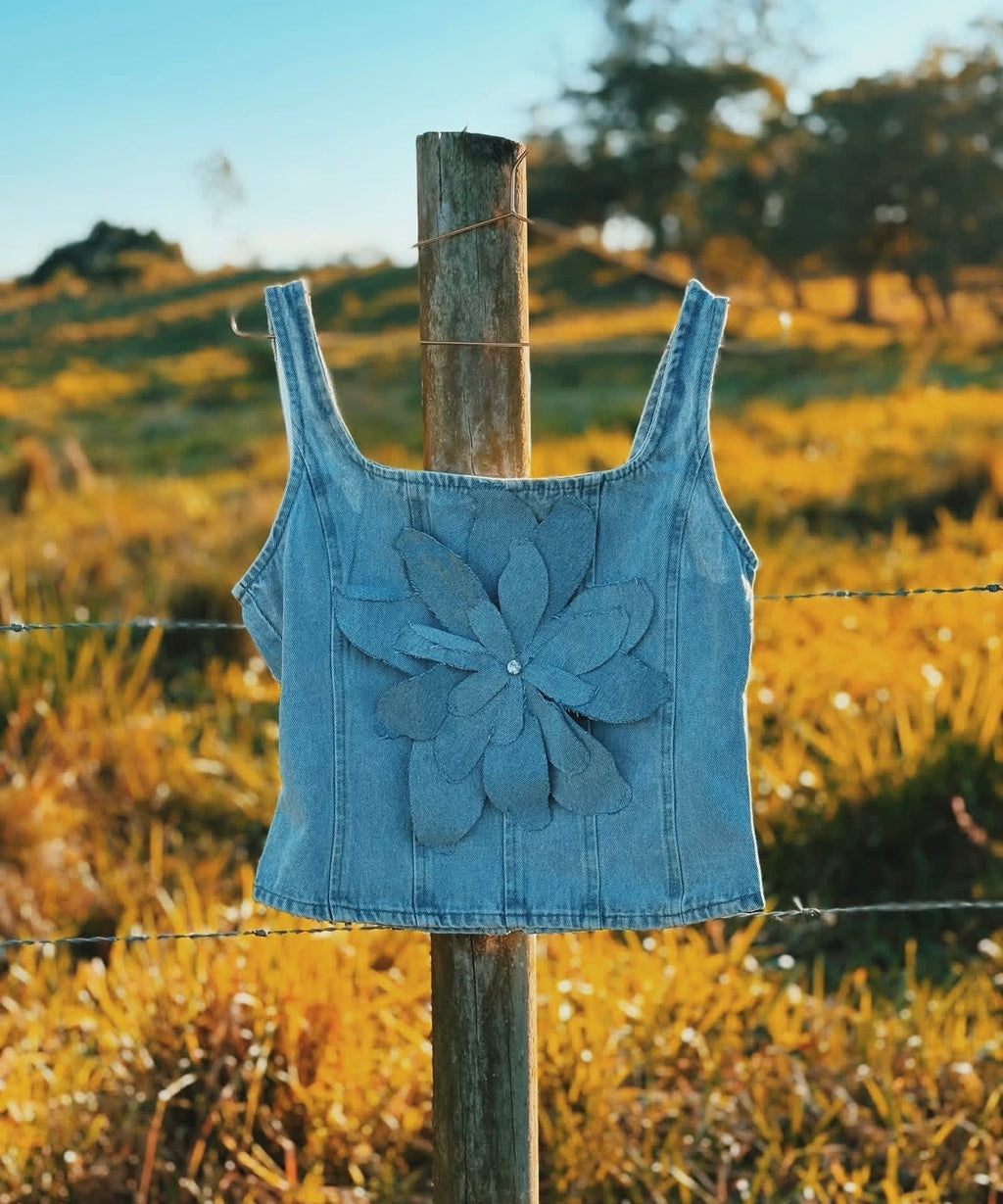Violeta Top