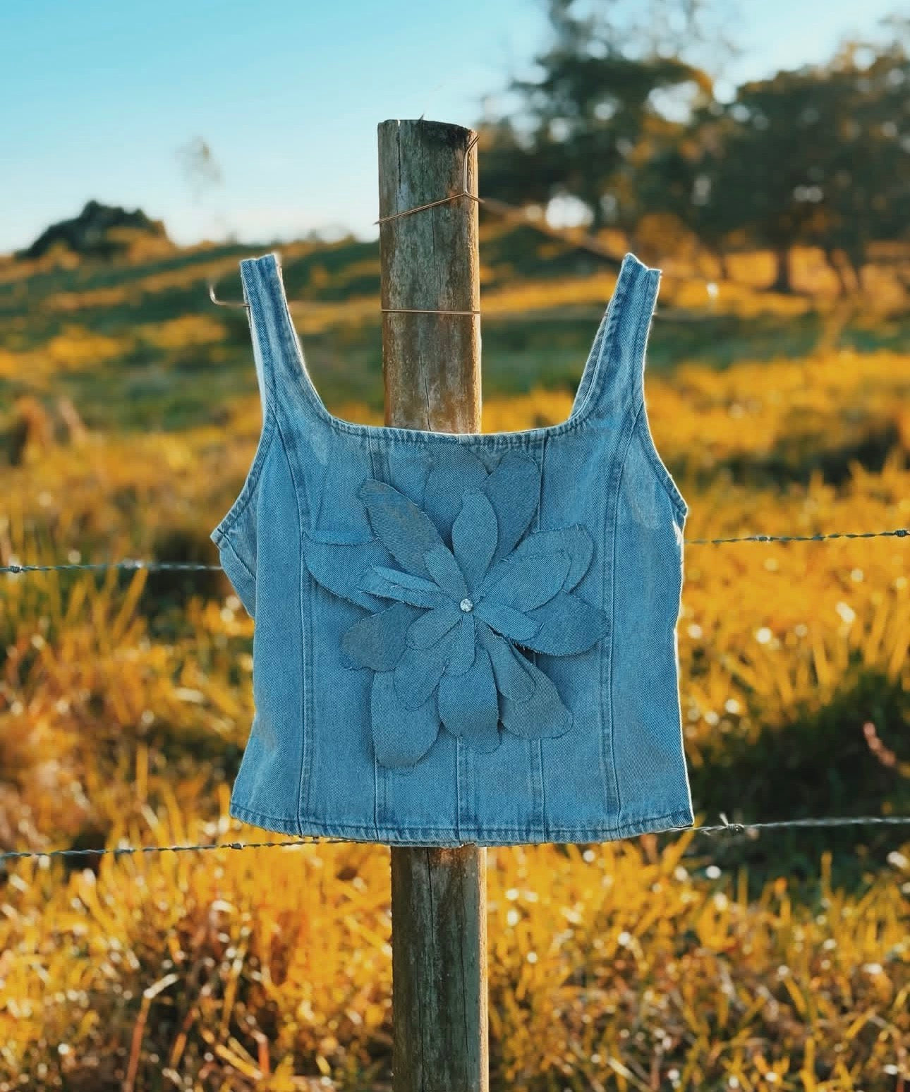 Violeta Top