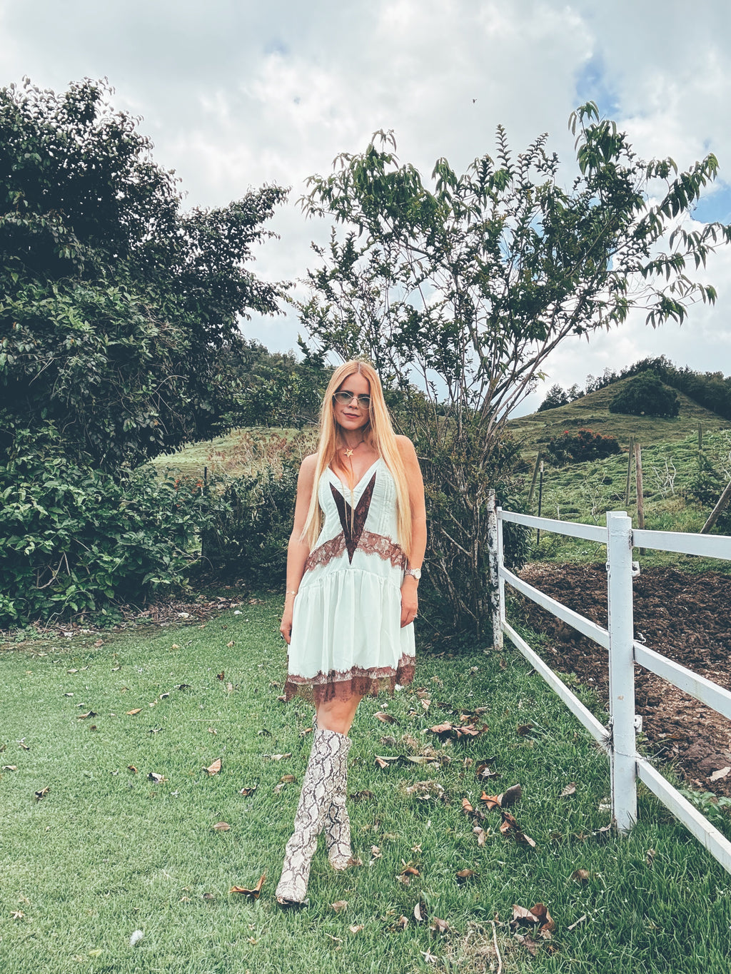 Daniella Lace Dress