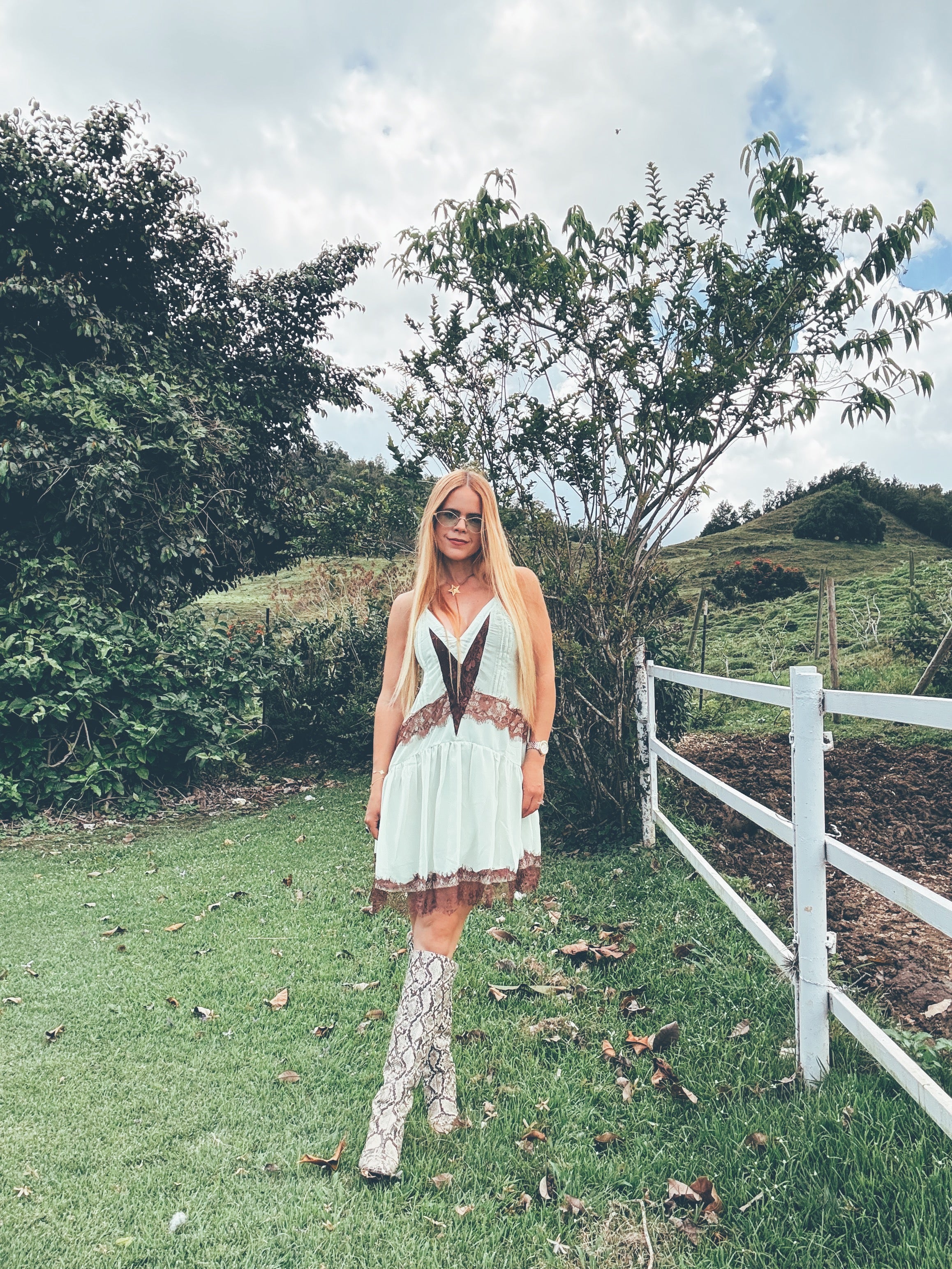 Daniella Lace Dress