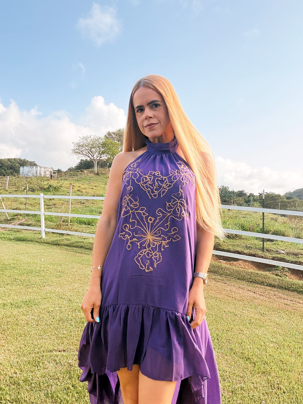 Camelia Embroidered High-Low Halter Dress