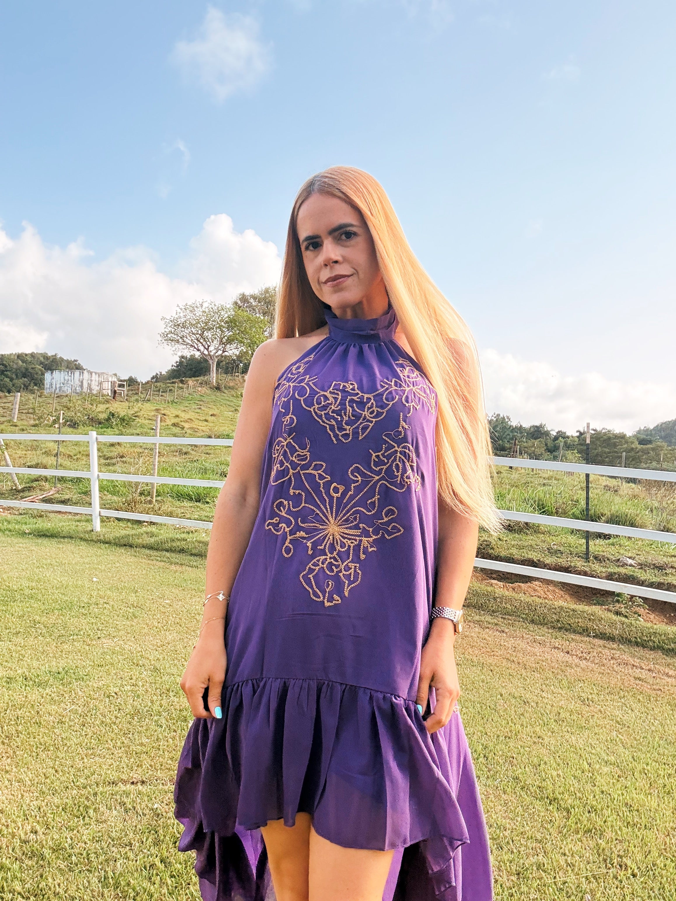 Camelia Embroidered High-Low Halter Dress