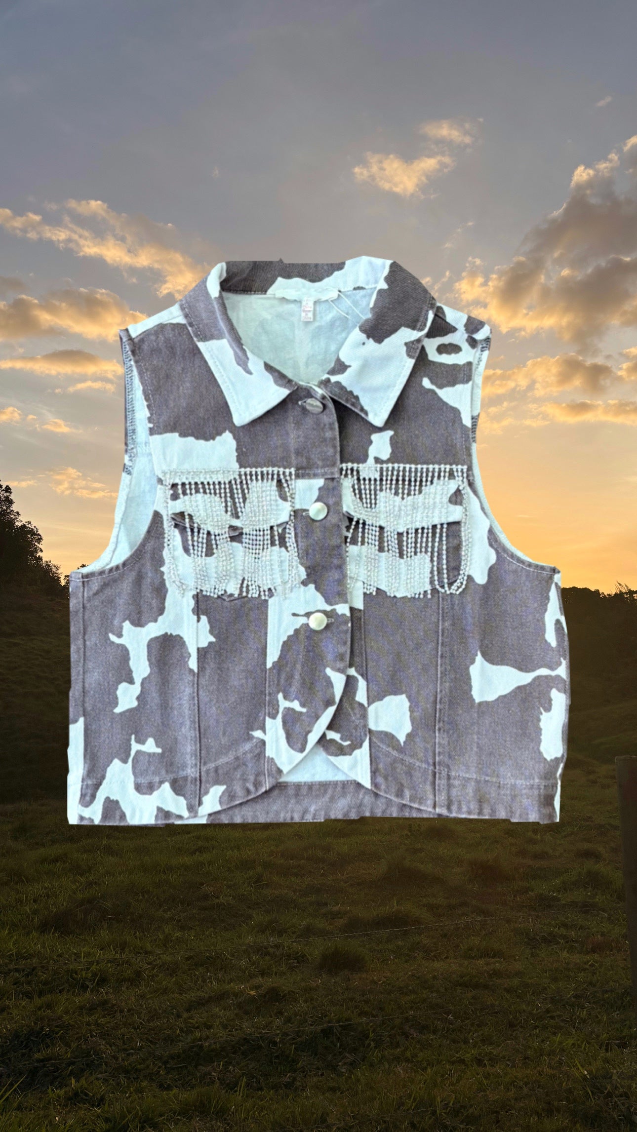 Western Disco Vest (Brown)